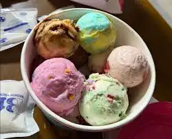 Baskin Robbins Menu With Prices, Pictures, Calories & PDF | Updated 2026 2 baskin robbins scoops menu prices