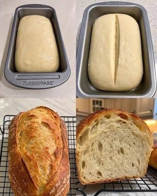Easy Artisan Bread Recipe (1 Loaf)
