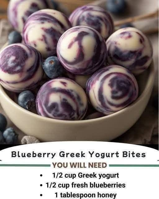 Blueberry Greek Yogurt Bites