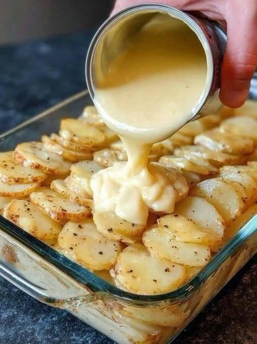 Creamy Cheesy Scalloped Potatoes