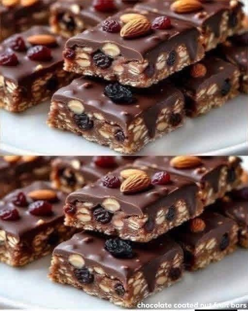Chocolate-Coated Mixed Nut & Fruit Bars